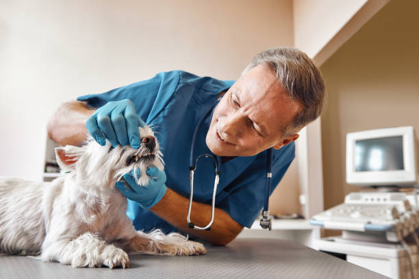 Best Emergency Tooth Extraction in New Haven, CT